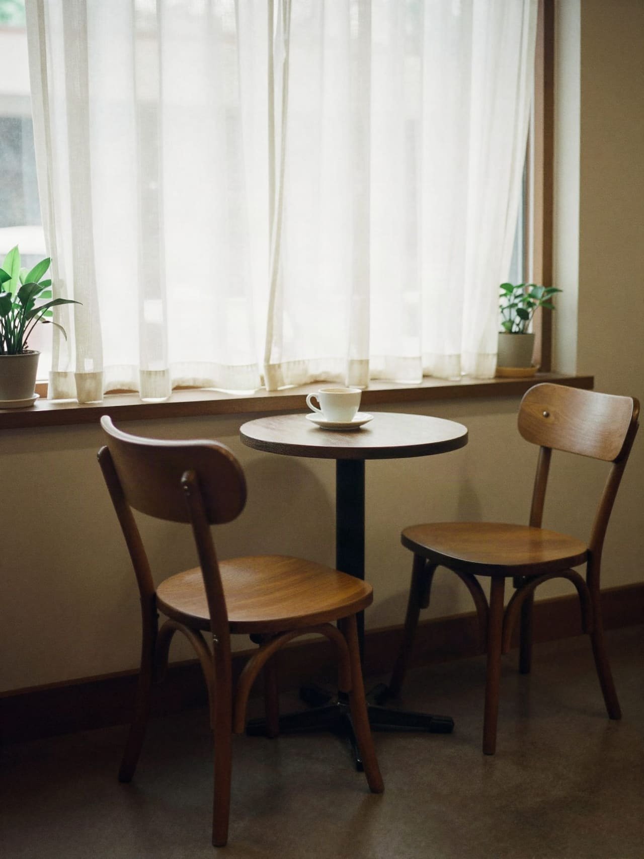 Daylight through linen curtains, with plants on the sill